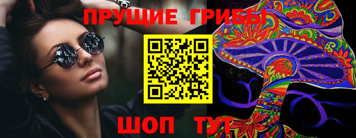 Псилоцибиновые грибы Psilocybine cubensis Маркс