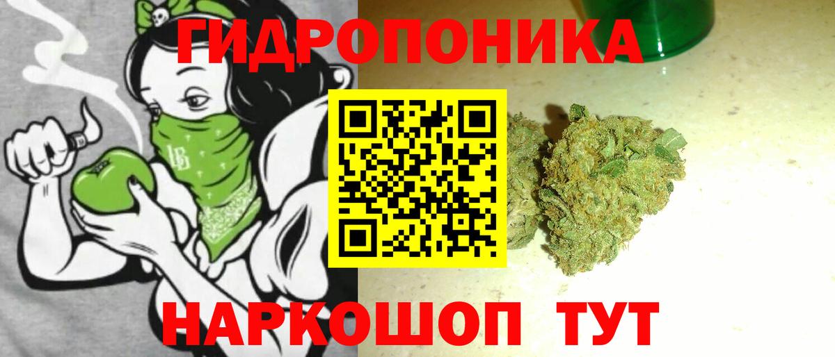 Конопля OG Kush  Бошки Шишки гибрид  Вход с VPN  Маркс  Канабис THC 21% 